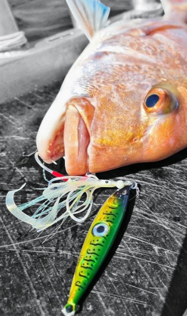 Juicy Bright Eye - 100/60gm - Ultimate Rod Racks NZ